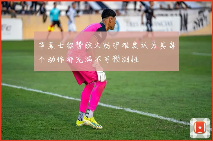 华莱士称赞欧文防守难度认为其每个动作都充满不可预测性