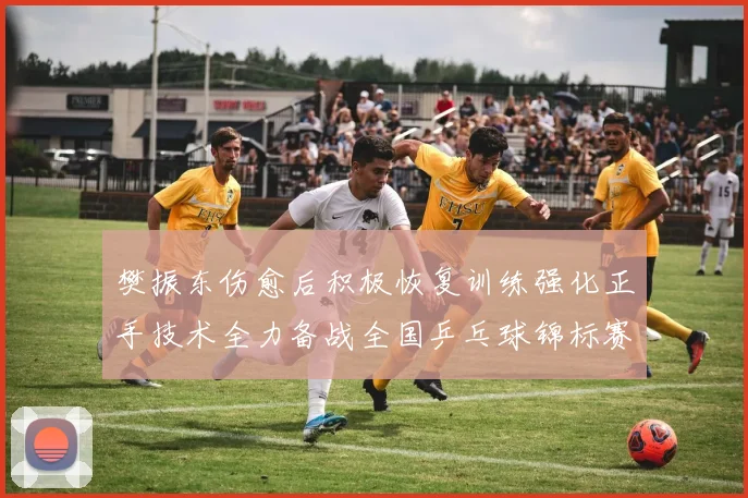樊振东伤愈后积极恢复训练强化正手技术全力备战全国乒乓球锦标赛